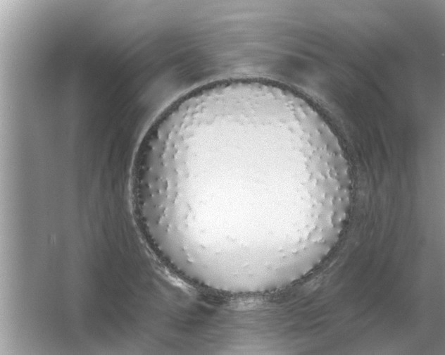 X0000064051278200602101441