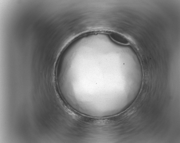 X0000064051279200602101441