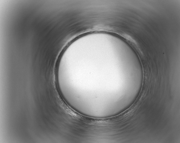 X0000064051280200602101441