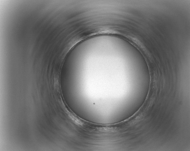 X0000064051281200602101441