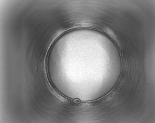 X0000064051283200602101441