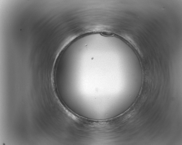 X0000064051285200602101441