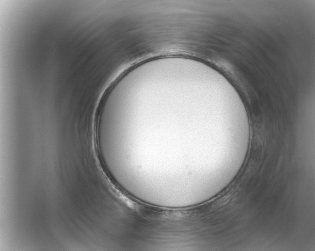 X0000064051286200602101441