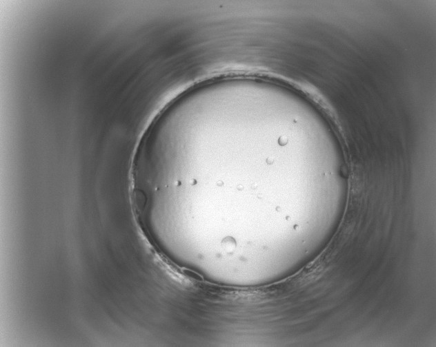 X0000064051287200602101441