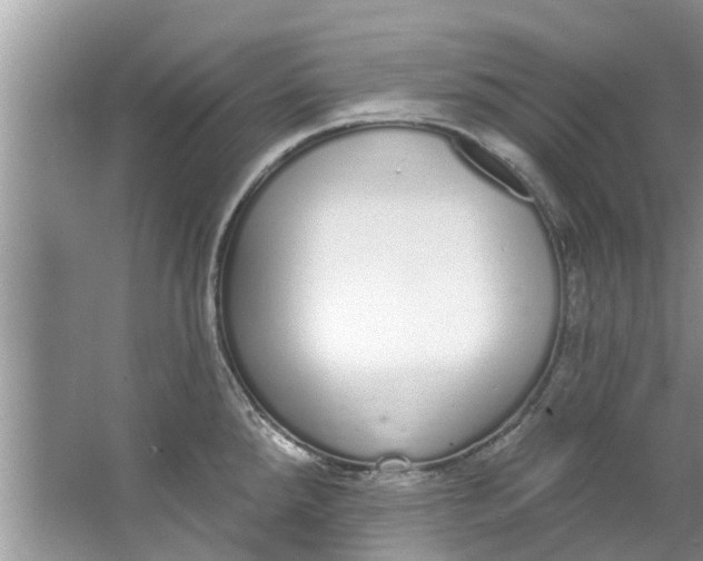 X0000064051288200602101441