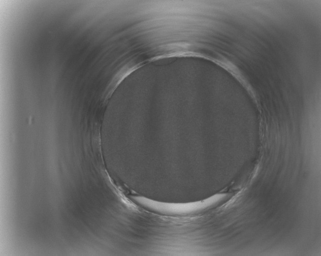 X0000064051289200602101441