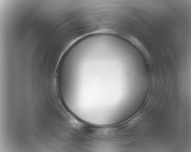 X0000064051292200602101441