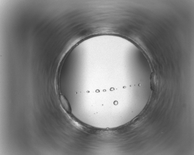 X0000064051293200602101441