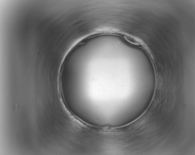 X0000064051295200602101441