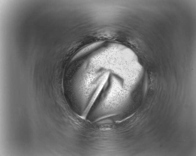 X0000064051297200602101440