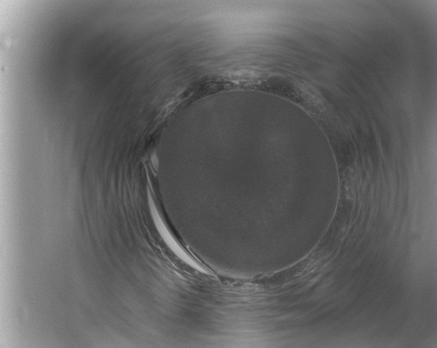 X0000064051298200602101440