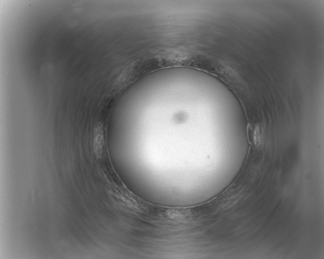 X0000064051299200602101440