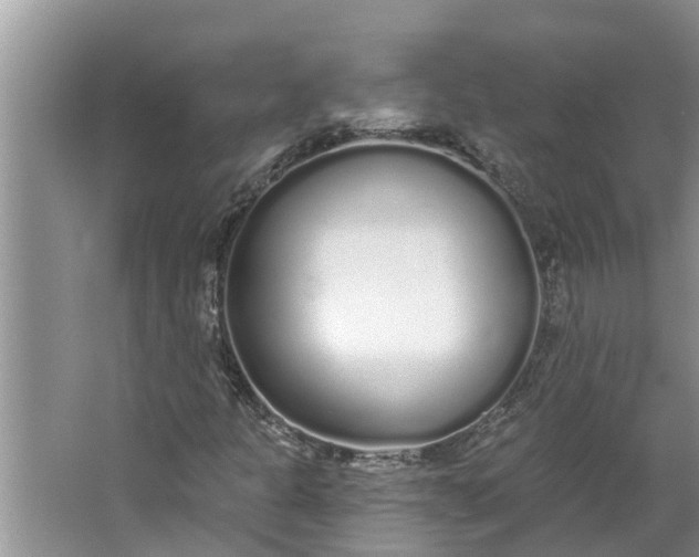 X0000064051301200602101440