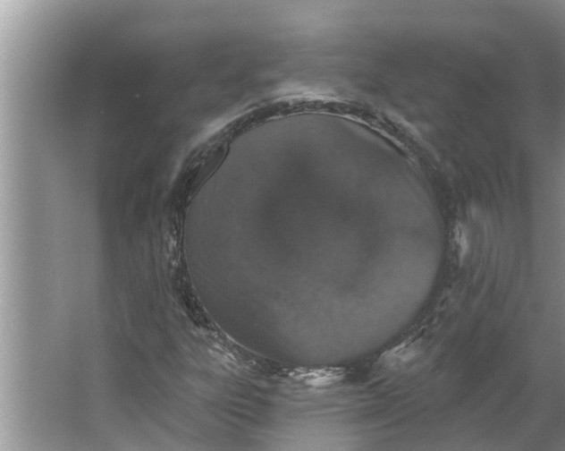 X0000064051303200602101440