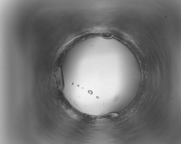 X0000064051304200602101440