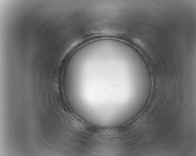 X0000064051307200602101440