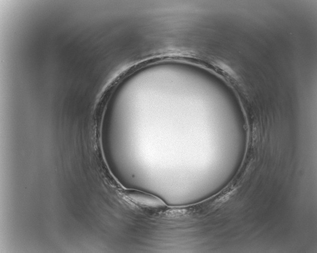 X0000064051310200602101440