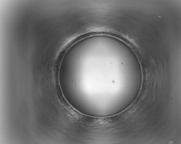 X0000064051311200602101440