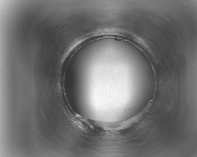 X0000064051312200602101440