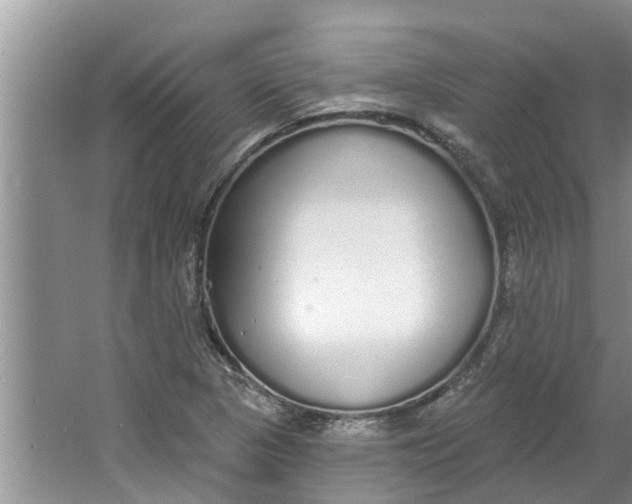 X0000064051313200602101440