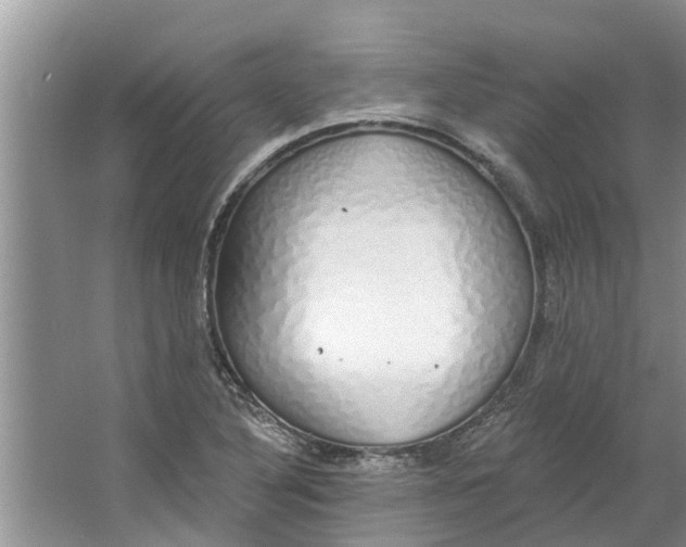 X0000064051316200602101440