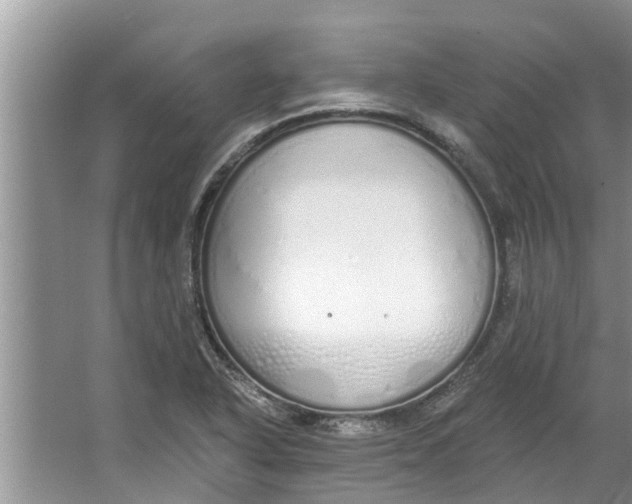 X0000064051318200602101440