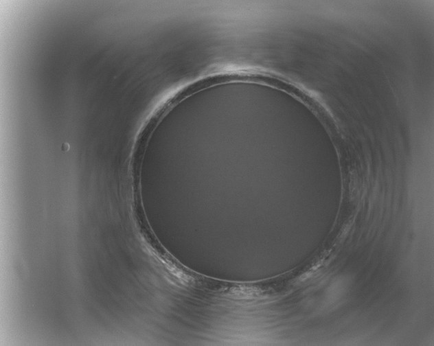 X0000064051319200602101440