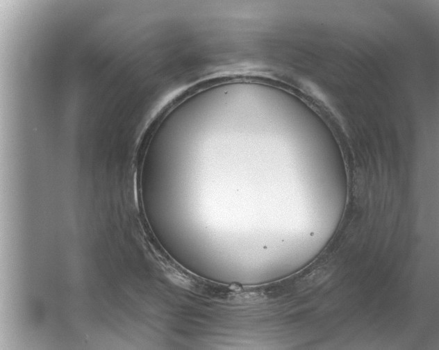 X0000064051320200602101440