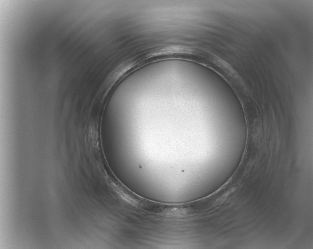 X0000064051321200602101440