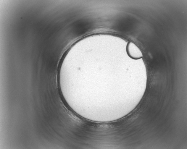 X0000064051322200602101440