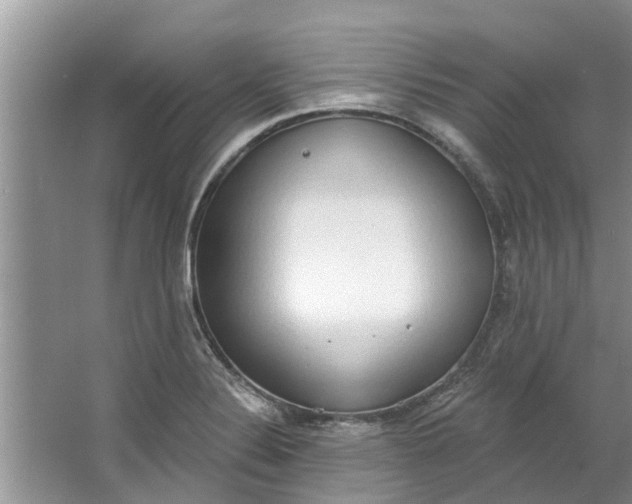 X0000064051324200602101440