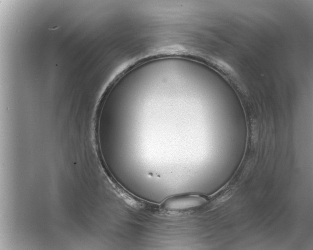 X0000064051326200602101440