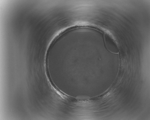 X0000064051327200602101440