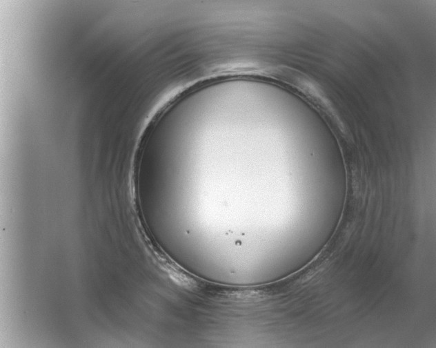 X0000064051328200602101440