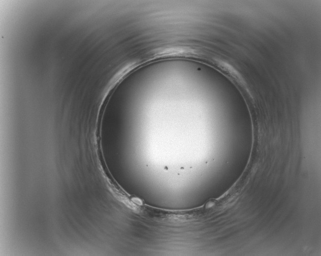 X0000064051330200602101440