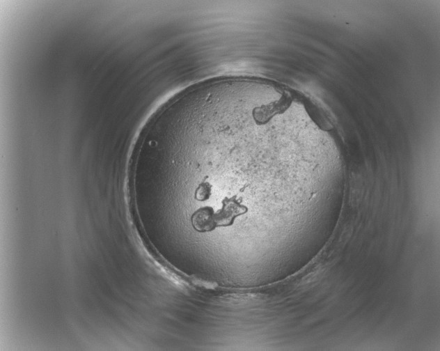 X0000064051331200602101440