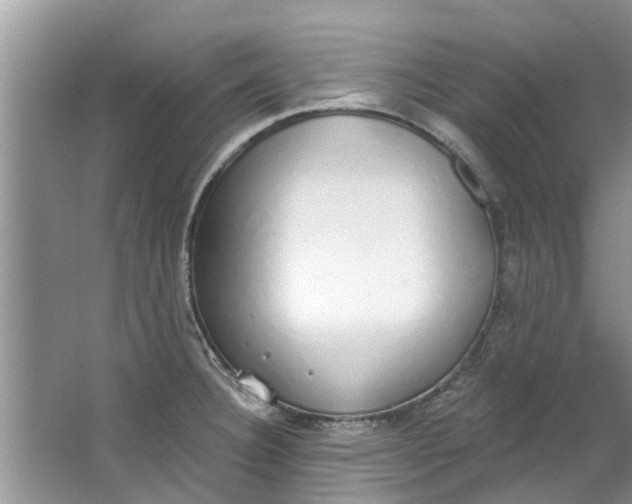 X0000064051332200602101440