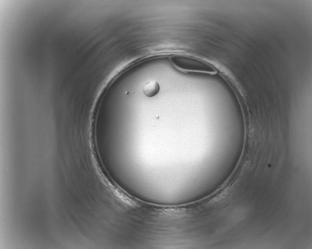 X0000064051333200602101440