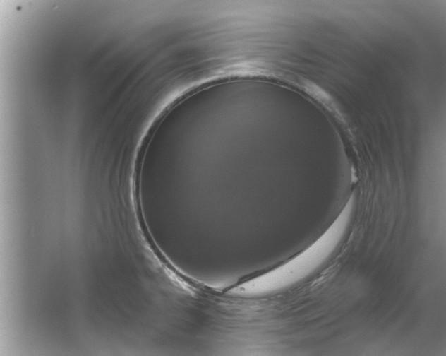 X0000064051334200602101440