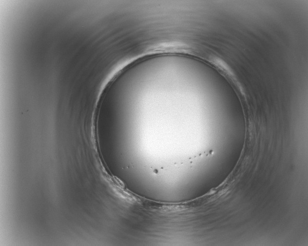 X0000064051336200602101440