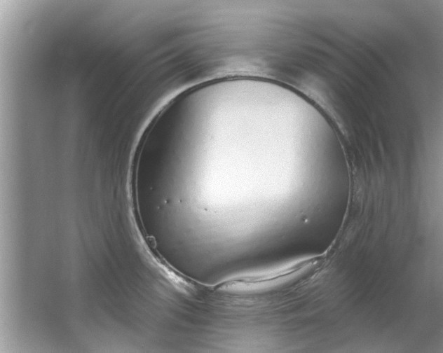 X0000064051339200602101441