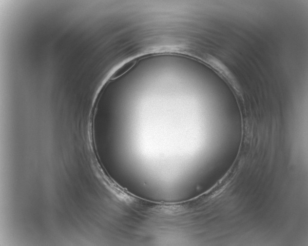 X0000064051340200602101441