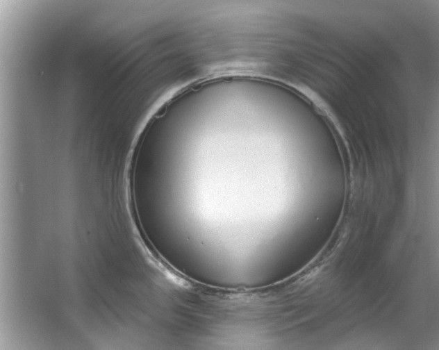 X0000064051341200602101441