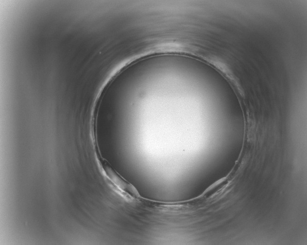 X0000064051342200602101441