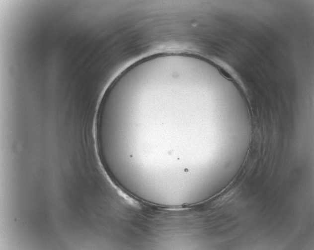 X0000064051343200602101441