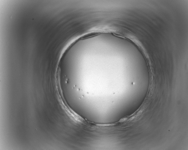 X0000064051344200602101441