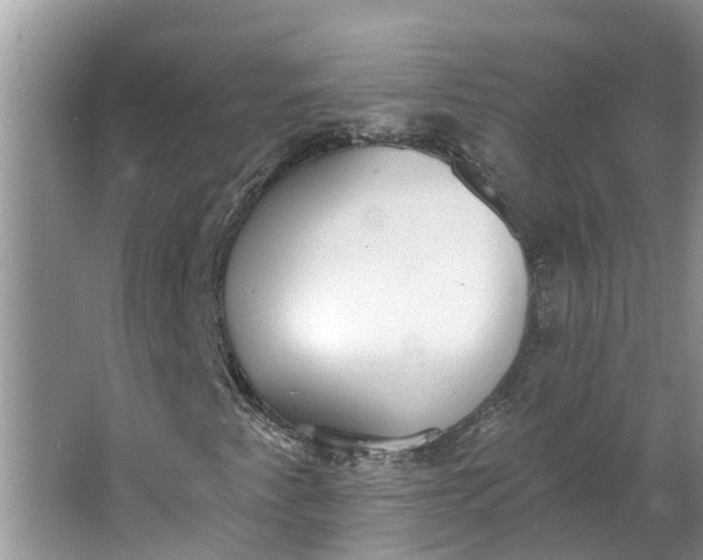 X0000064051345200602101440