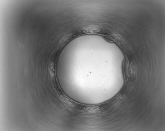 X0000064051346200602101440