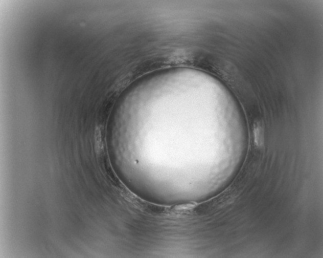 X0000064051347200602101440