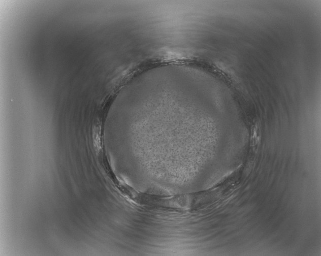 X0000064051348200602101440